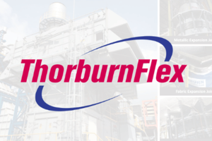 Also-in-this-issue-Webinar (19)